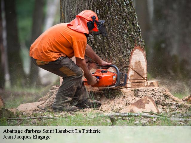 Abattage d'arbres  saint-lambert-la-potherie-49070 Jean Jacques Elagage